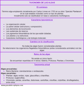 Taxonomía de las algas, su clasificación científica