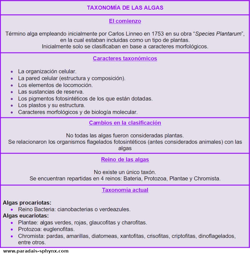 Taxonomía de las algas, clasificación científica. Cuadro resumen, esquema.