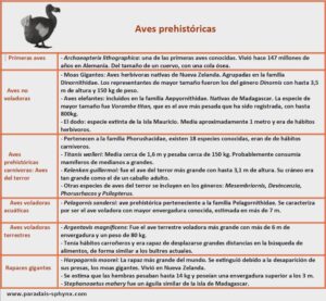 Aves prehistóricas, diversas y con variedad de tamaños