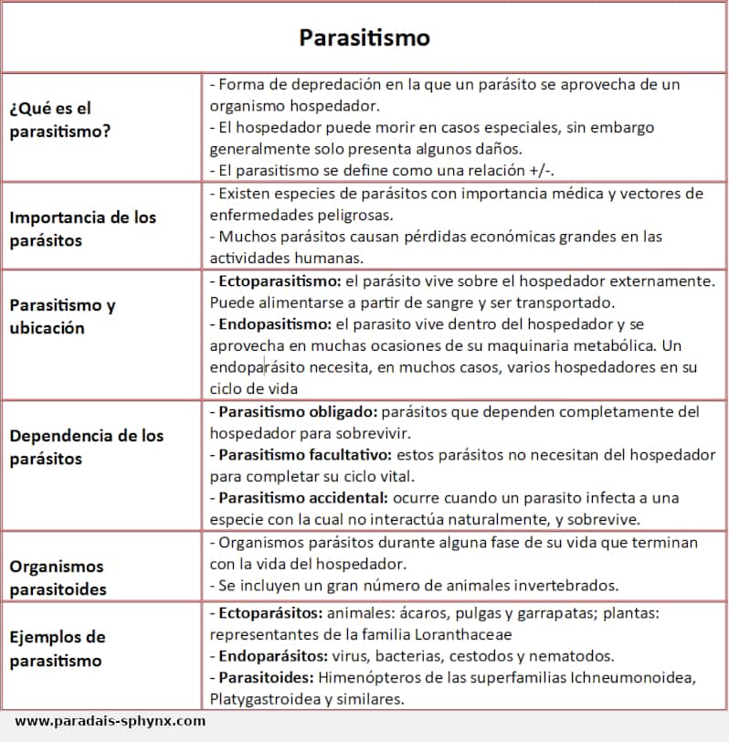 Parasitismo, resumen o esquema