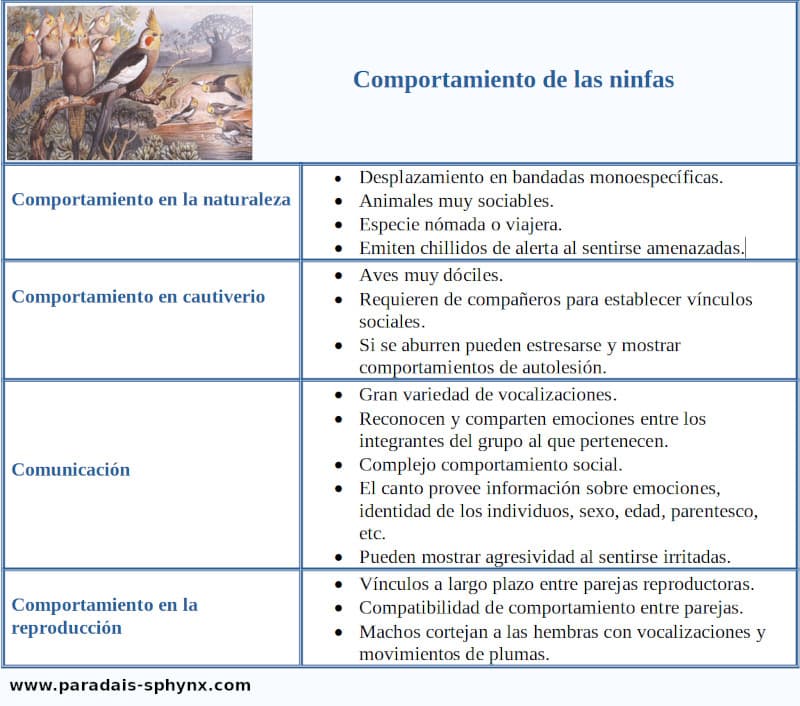 Cuadro resumen, esquema sobre el comportamiento de las ninfas.
