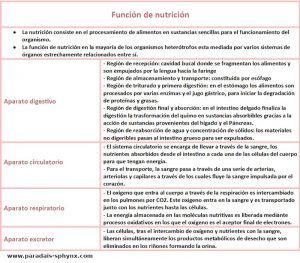 Función de nutrición, aparatos que intervienen, con esquema o resumen