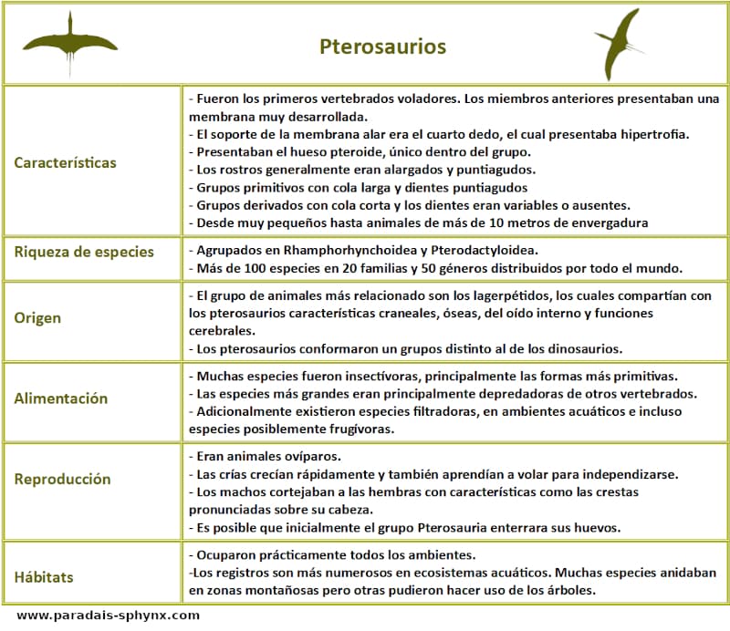 Ficha sobre los pterosaurios