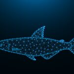 comportamiento-de-los-tiburones