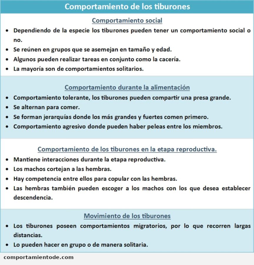 Ficha informativa sobre el comportamiento de los tiburones