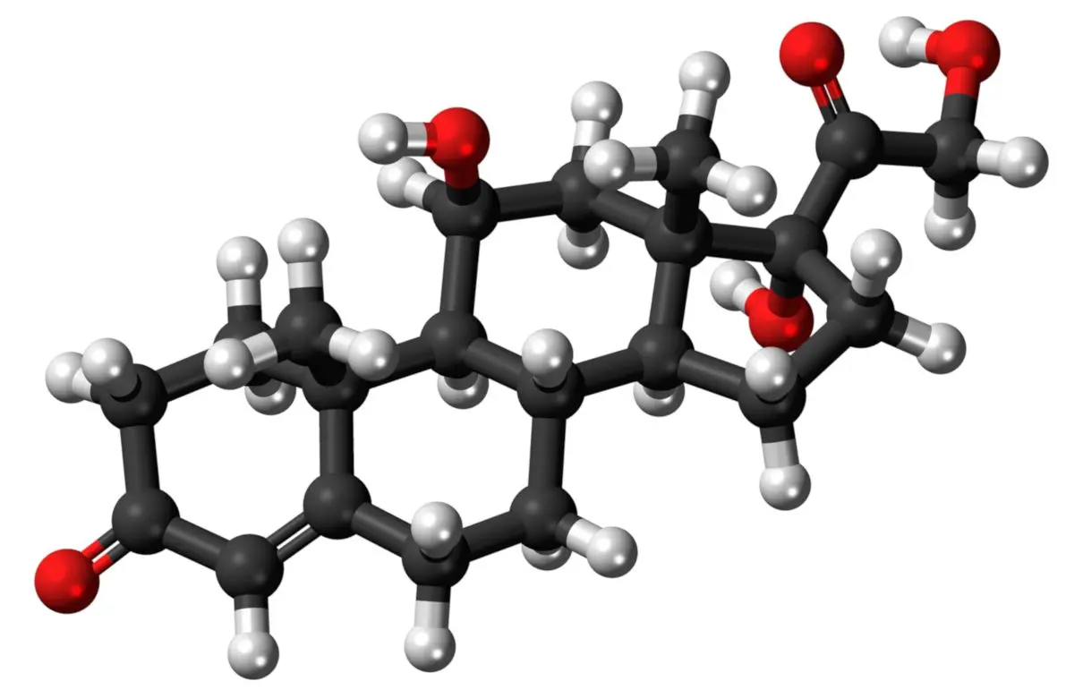 Corticoides, corticosteroides