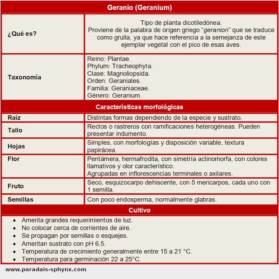 Ficha del geranio