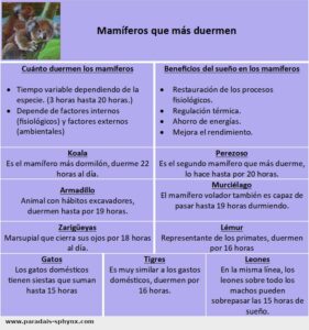 Mamíferos que más duermen, beneficios del sueño