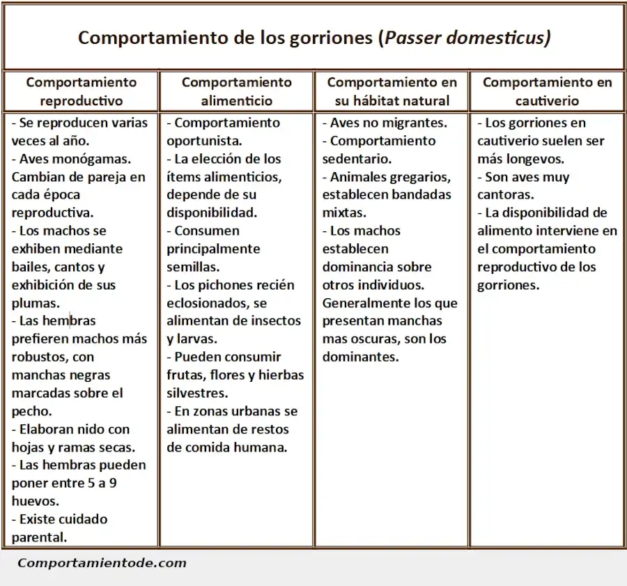 Ficha descriptiva sobre los gorriones, Passer domesticus