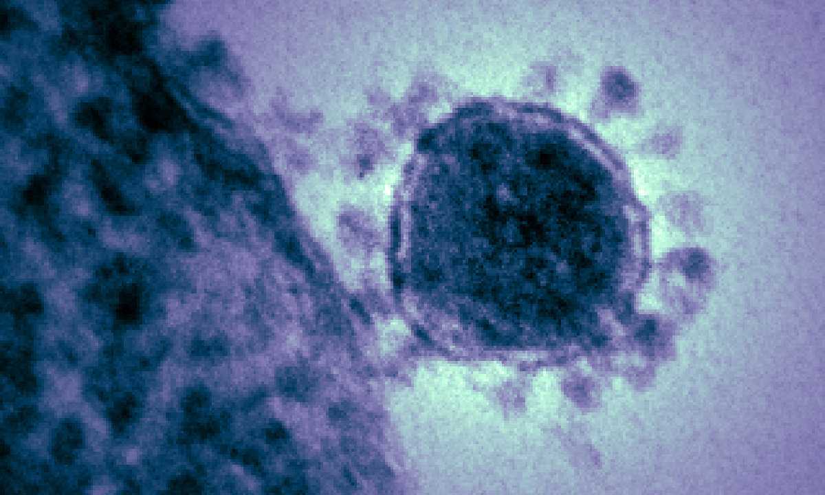 Coronavirus