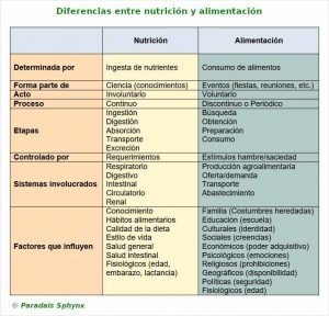 Diferencias entre nutrición y alimentación