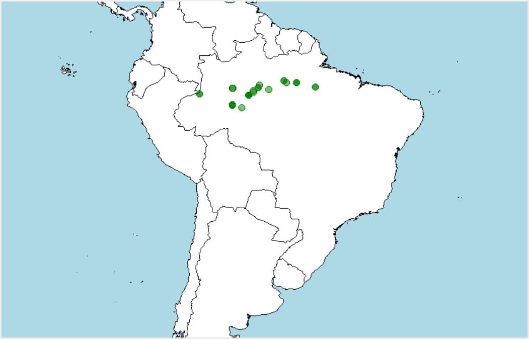 Distribución, dónde vive el disco azul, Symphysodon aequifasciatus