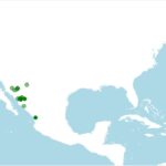 distribucion-tortuga-de-caja-manchada-terrapene-nelsoni