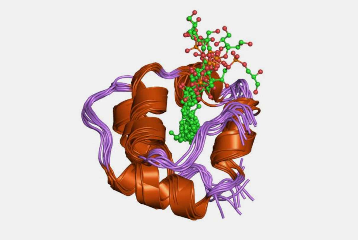 Nutrición proteínas