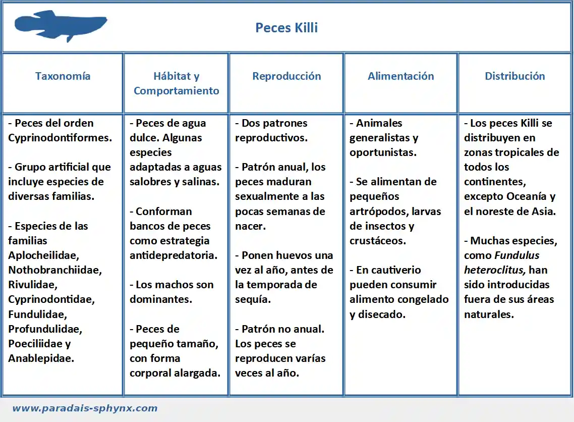 Ficha sobre los peces killis