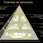 piramide-nutricional-en-humanos