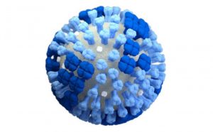 El yaravirus: desconcertante virus que sacude a la ciencia desde Brasil