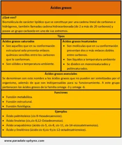 Ácidos grasos, qué son, tipos y ejemplos. Funciones