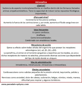 Adrenalina (epinefrina), qué es y para qué sirve, sus efectos