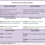 diferencias-entre-fenotipo-y-genotipo