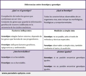 Diferencias entre fenotipo y genotipo