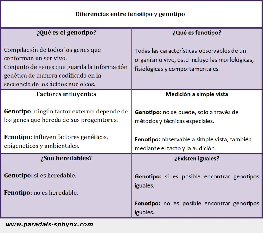 Diferencias entre fenotipo y genotipo, cuadro resumen o esquema