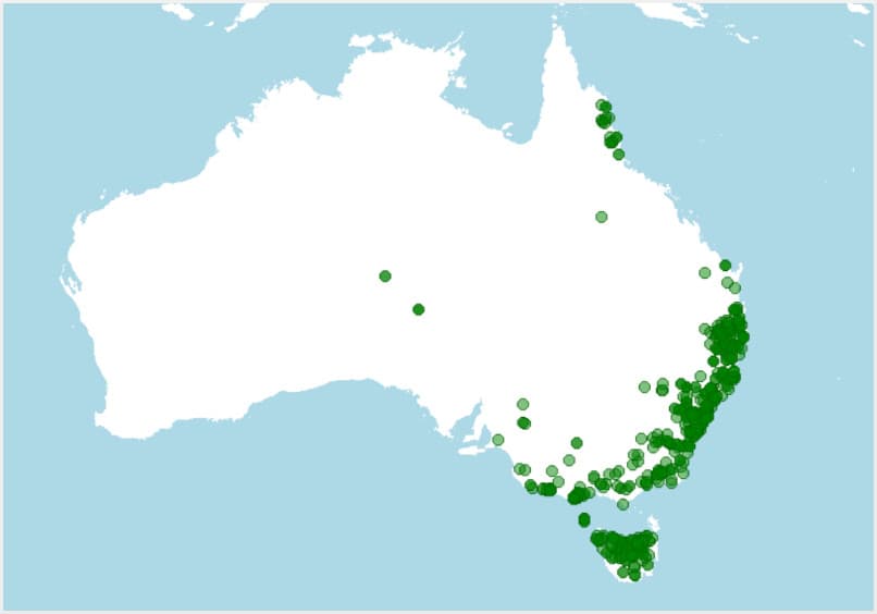 Distribución de Quol tigre, Dasyurus maculatus