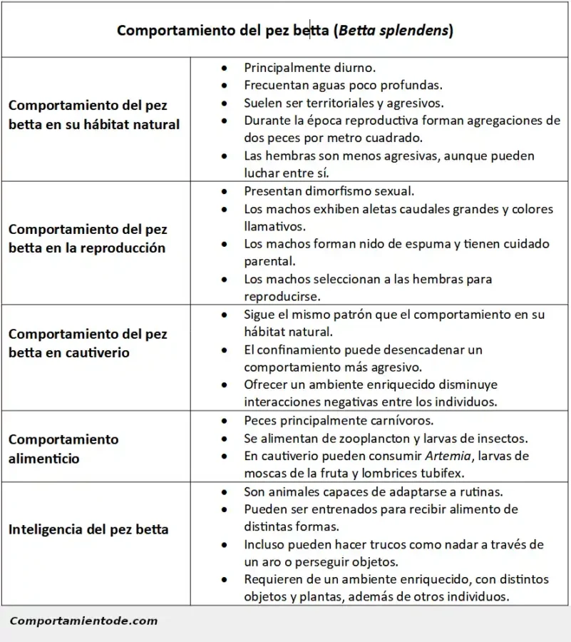 Comportamiento del pez betta, ficha informativa