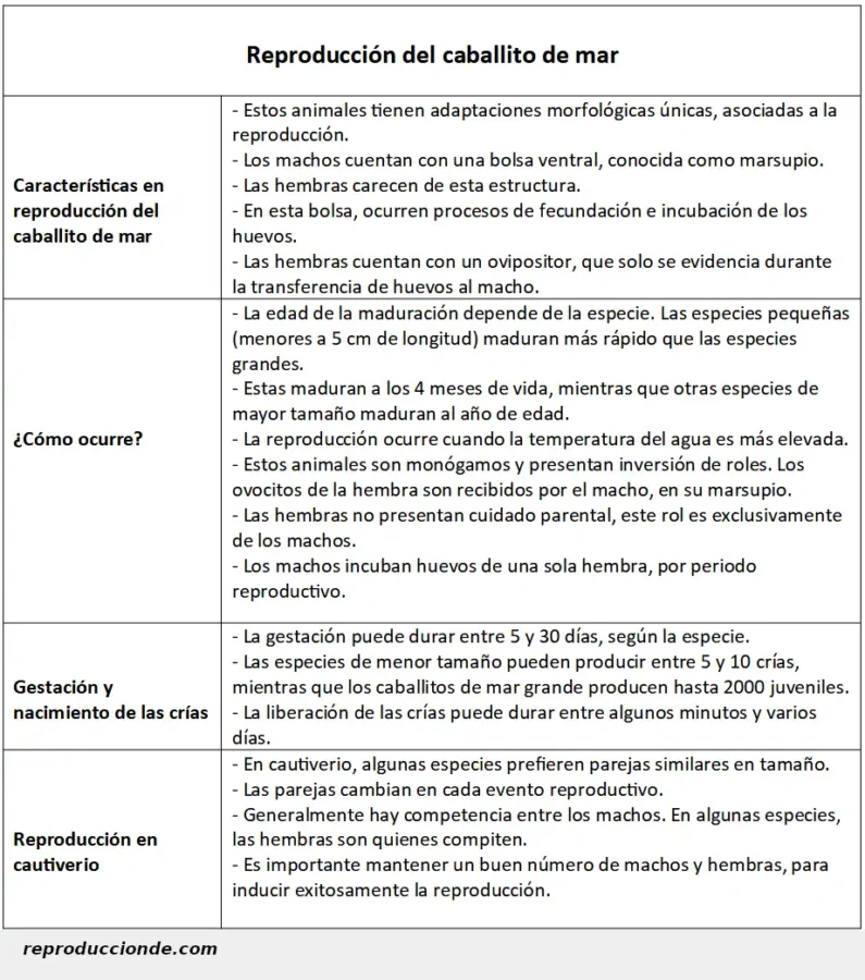 Estudio sobre la reproducción del caballito de mar