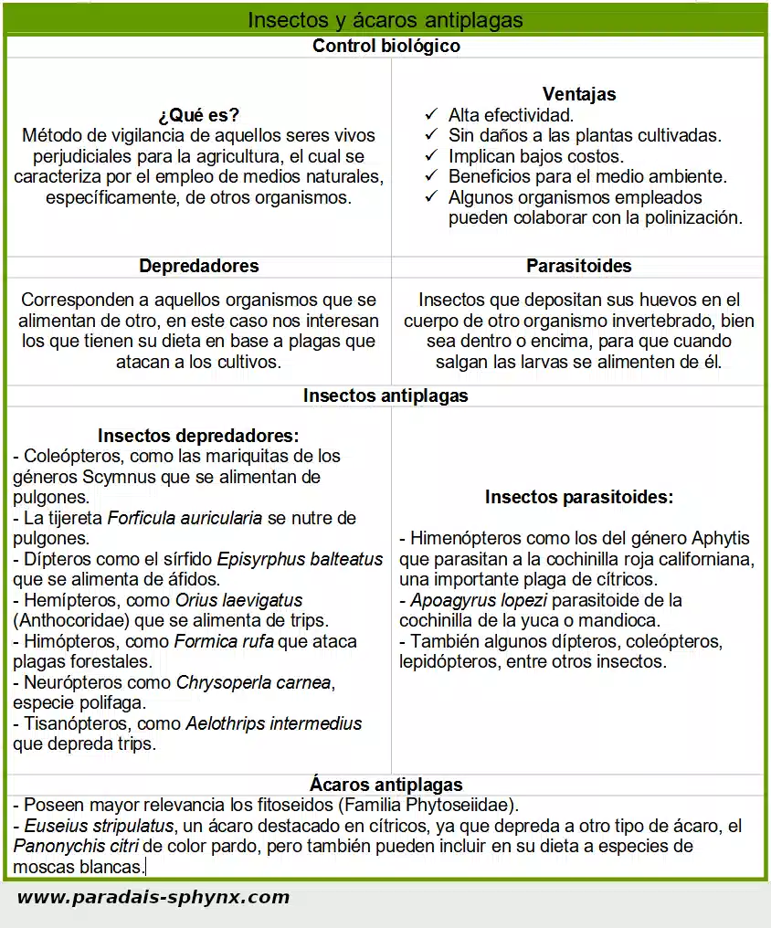 Insectos y ácaros antiplagas, depredadores y parasitoides