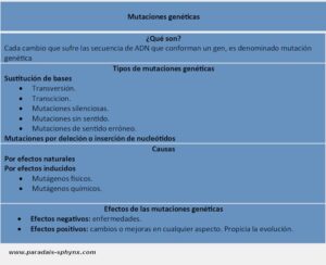 Mutaciones genéticas, qué son, tipos, causas y ejemplos