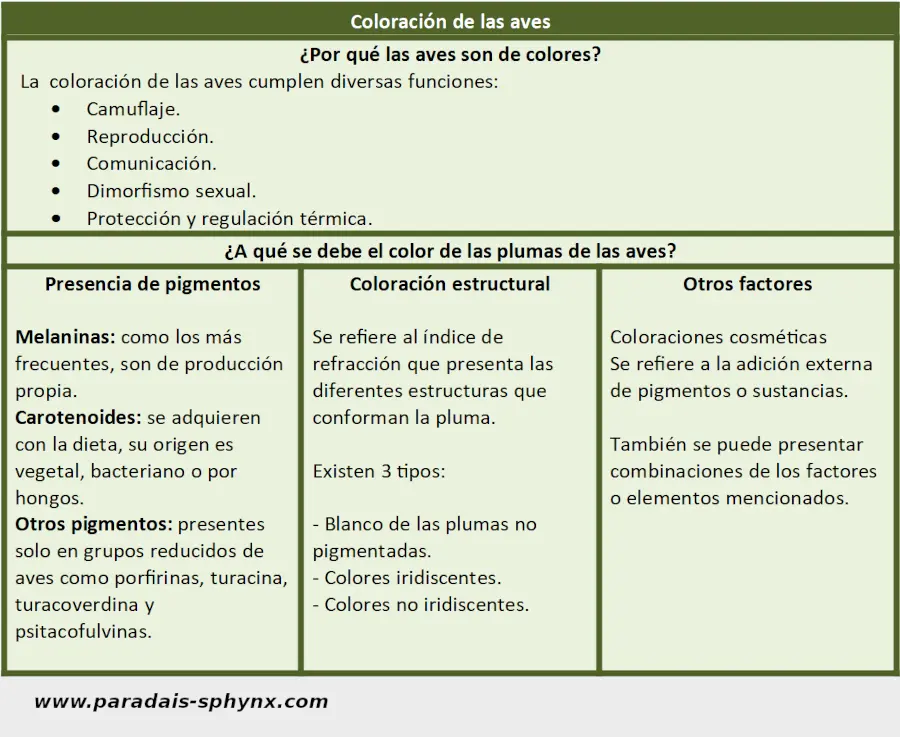 Ficha informativa sobre coloración de las aves