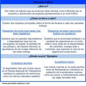 Cascada trófica, qué es, regulación, dónde ocurre y ejemplos
