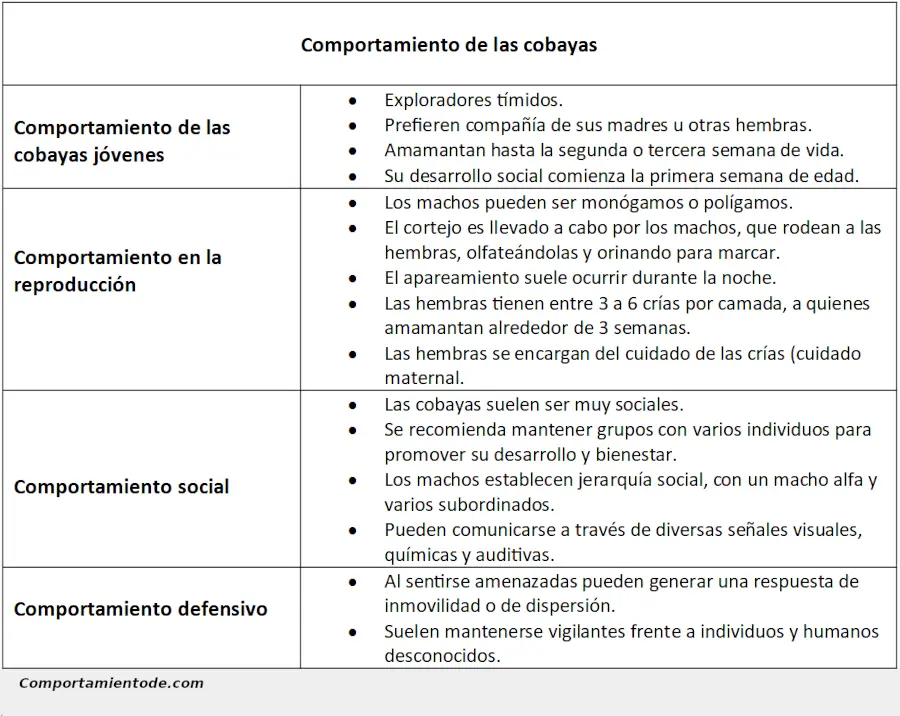 Ficha sobre el comportamiento de las cobayas