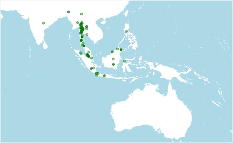 Distribución del Gibón de manos blancas, Hylobates lar