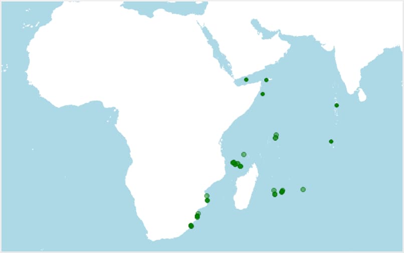 Distribución de Halichoeres cosmetus