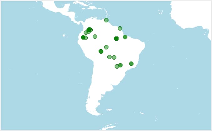 Dónde vive Paleosuchus palpebrosus, caimán enano