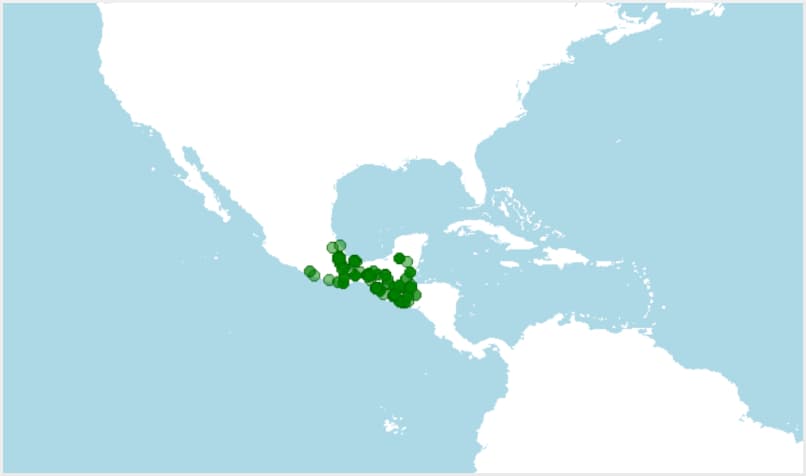 Distribución, dónde vive la rana de Morelet, Agalychnis moreletii