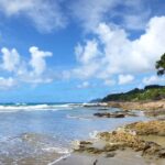 olas-de-calor-marinas