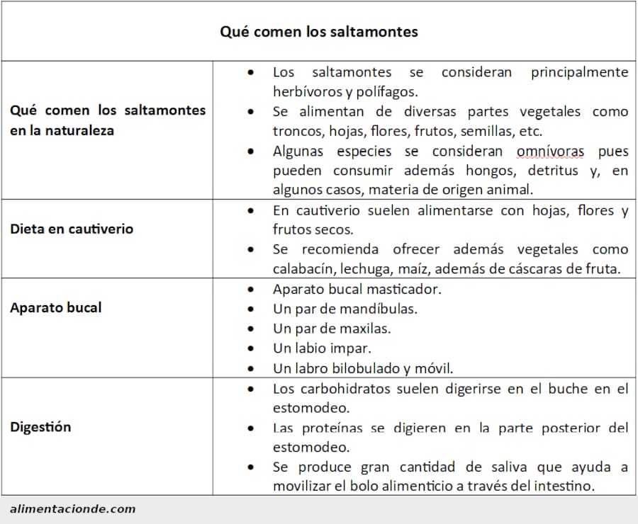 Ficha, resumen o esquema sobre qué comen los saltamontes