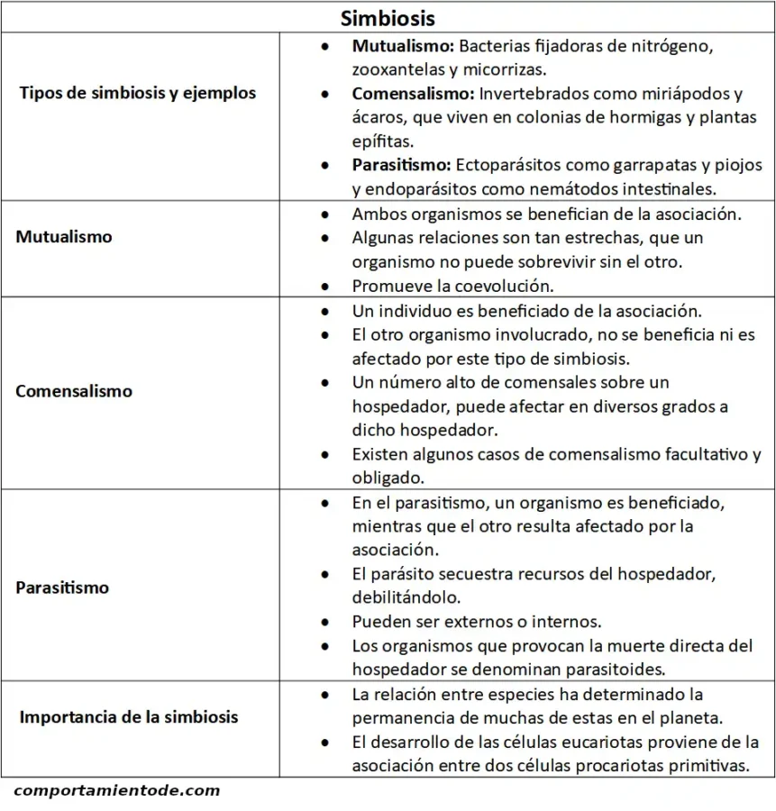 Resumen o esquema sobre la simbiosis