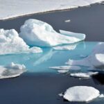Calentamiento del Ártico, implicaciones que tiene calentamiento-del-artico-efectos-consecuencias