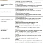 costumbres-del-jabali-sus-scrofa