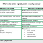 diferencias-entre-reproduccion-sexual-y-asexual