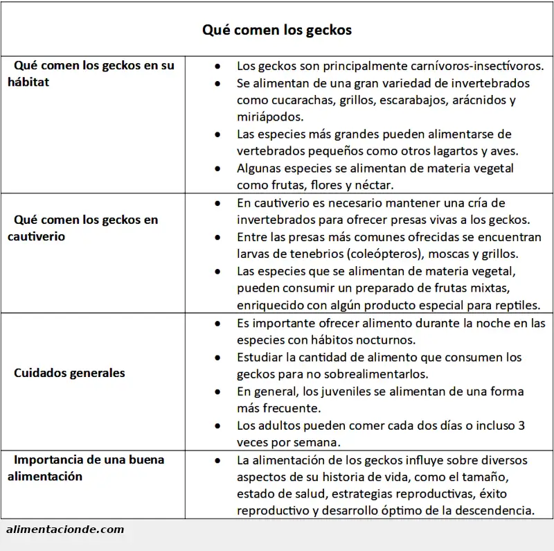 Ficha descriptiva sobre la alimentación de los geckos