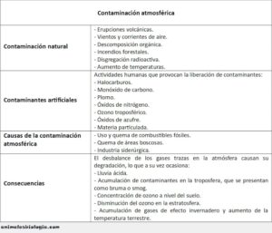 Contaminación atmosférica, tipos, causas y consecuencias