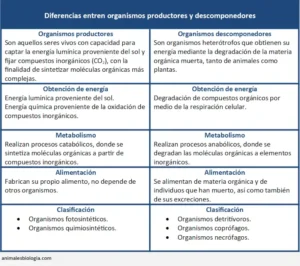 Diferencias entre organismos productores y descomponedores