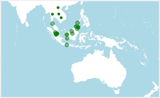 Distribución, donde vive Binturong, Arctictis binturong