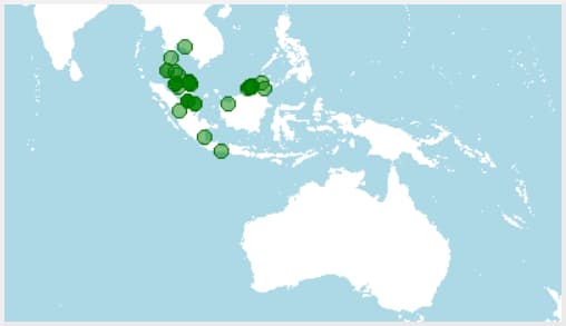 Distribución de Dichotomyctere nigroviridis, puffer verde