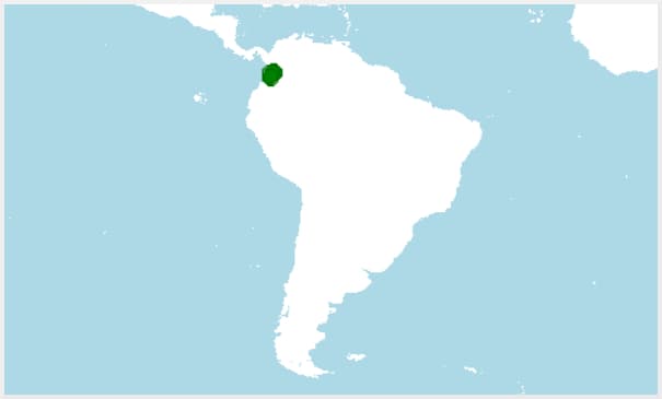 Distribución de la rana rubí, Andinobates bombetes